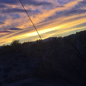 Meet your Posher, Dylan